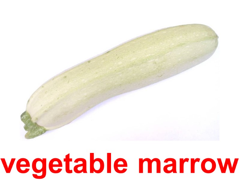 vegetable marrow